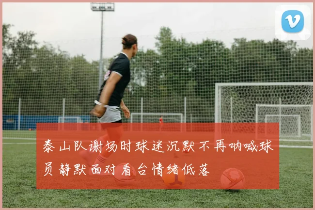 泰山队谢场时球迷沉默不再呐喊球员静默面对看台情绪低落